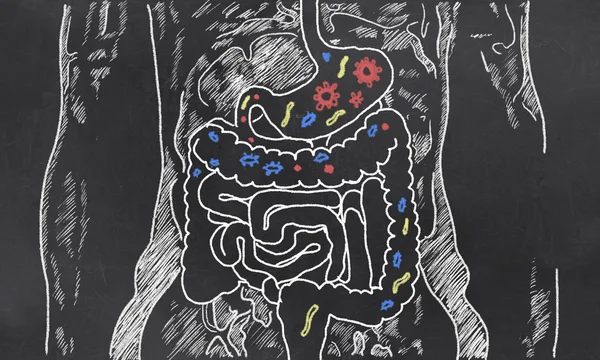 O que o Sequenciamento de Microbioma Pode Dizer sobre Sua Saúde Intestinal