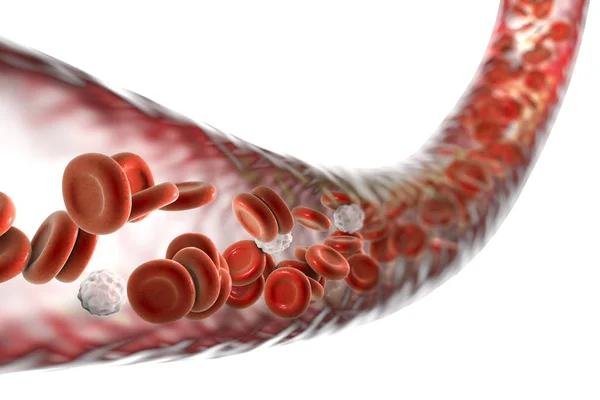 Microbioma e Resistência a Antibióticos: O que os Exames Revelam