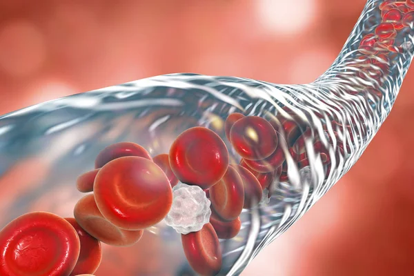 Estratégias para Manter um Microbioma Equilibrado: Promovendo a Saúde Digestiva