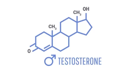 Entenda Seu Perfil Hormonal: Exames Essenciais