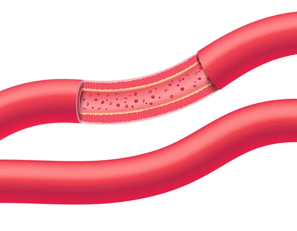 Desmistificando o Sequenciamento de Microbioma: Um Guia para Iniciantes