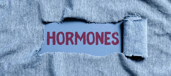 Hormônios e Controle de Peso: Exames que Podem Ajudar na sua Dieta