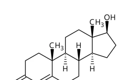 A Relação entre Testosterona e Saúde Óssea: Entenda a Importância Hormonal para a Densidade Óssea