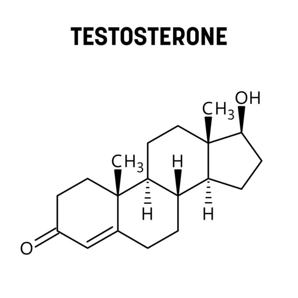 A Relação entre Testosterona e Saúde Óssea: Entenda a Importância Hormonal para a Densidade Óssea