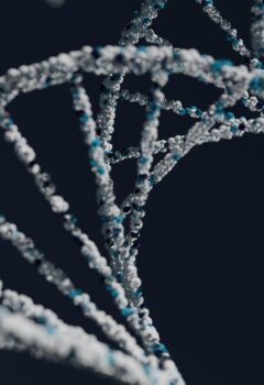 Exames Genéticos: o que são, como funcionam e para que são indicados?